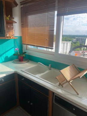 Bel appartement, vue sur Paris